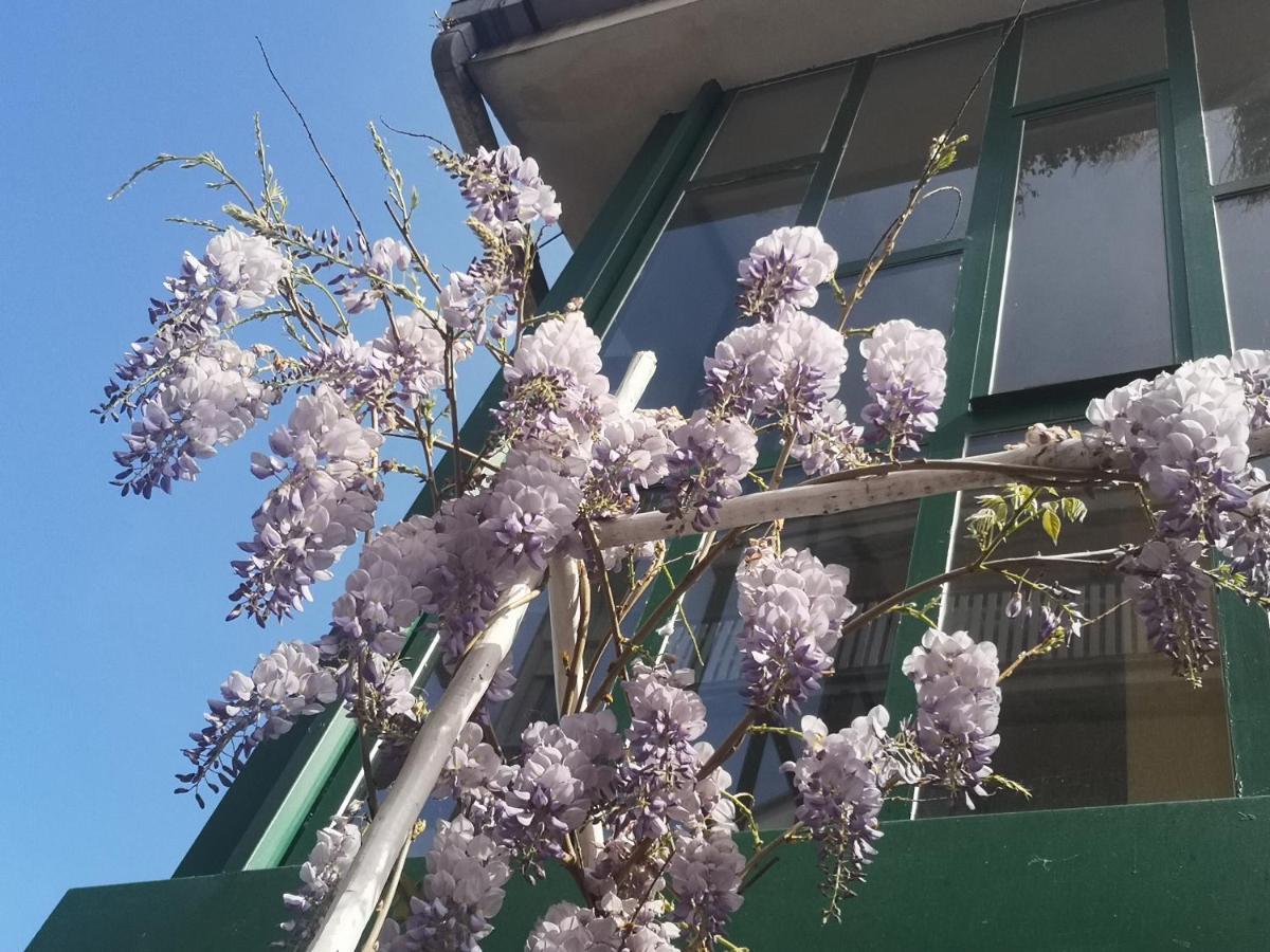Ferienwohnung Casadei24 Guidonia Exterior foto